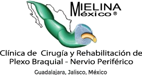 Clínica Mielina Plexo Braquial